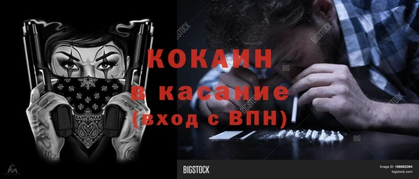 сатива Алзамай