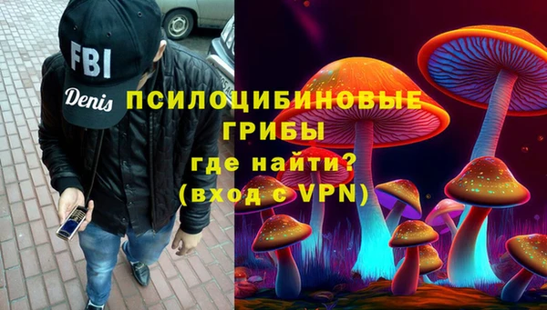 сатива Алзамай